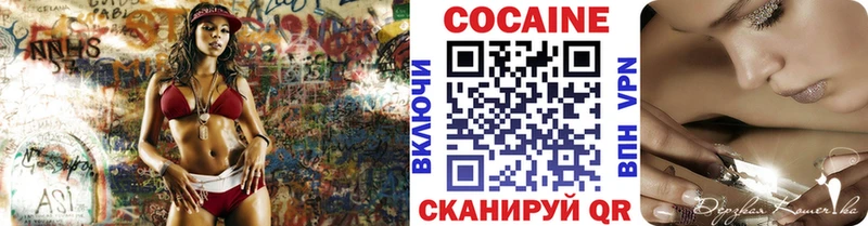 Купить где  Великий Устюг  COCAIN Fish Scale 