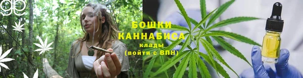 спиды Майский