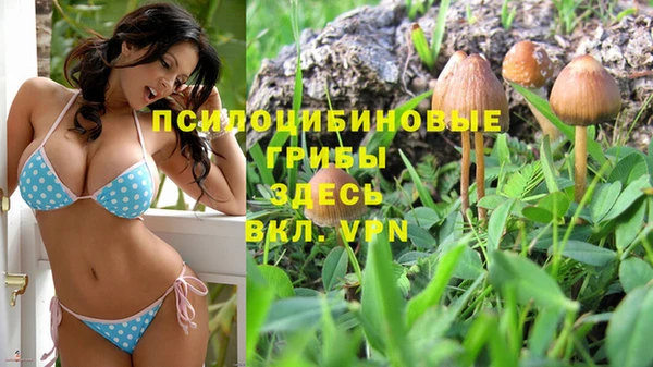 марки lsd Лиски