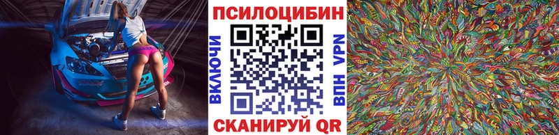 Галлюциногенные грибы Cubensis  Купить  Великий Устюг 